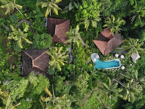 Top View