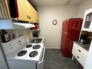 Full kitchen with full size fridge, stove/oven, dishwasher, and microwave