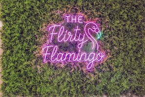 The Flirty Flamingo | 6 Seat Golf Cart | Old Homosassa