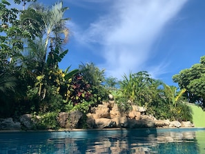 Garden oasis style pool with tranquil waterfall feature. Pool hours 8:00am-11pm.