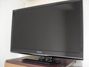 Television