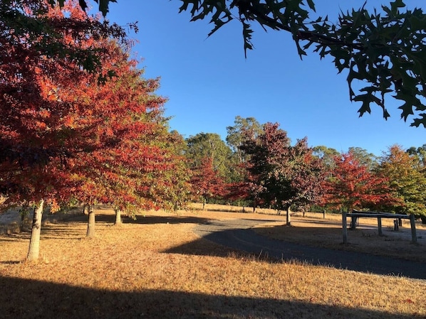 Parco della struttura