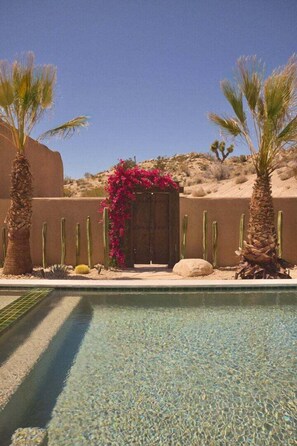 Cactus garden.