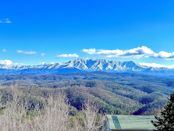 Front porch views! 