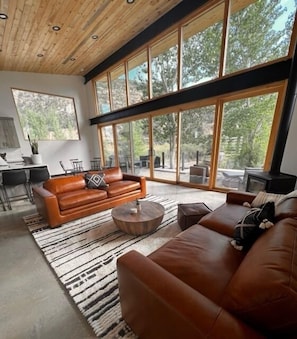 Living Room with wood burning stove