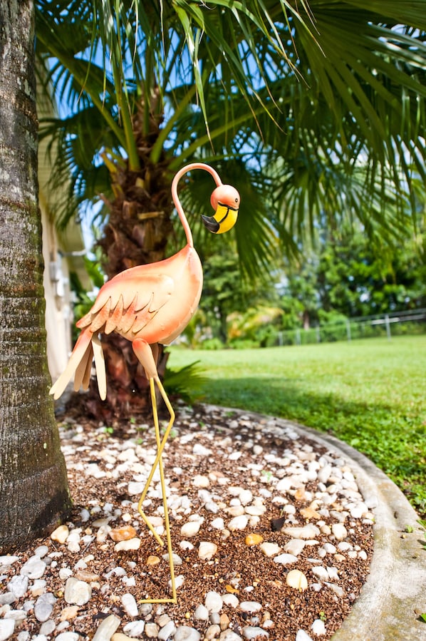 Welcome to our Flamingo Nest