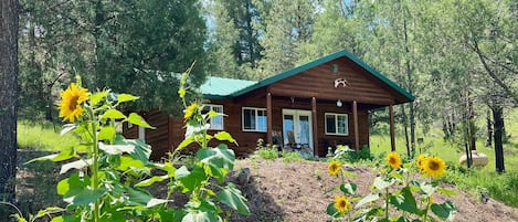 The Salt Creek Cabin in the Gila sits slightly up the hill and opens up directly into the National Forest.