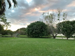 backyard view