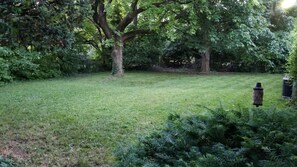 Fenced and spacious backyard! 