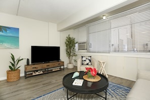 Living Room with 55-Inch TV and AC