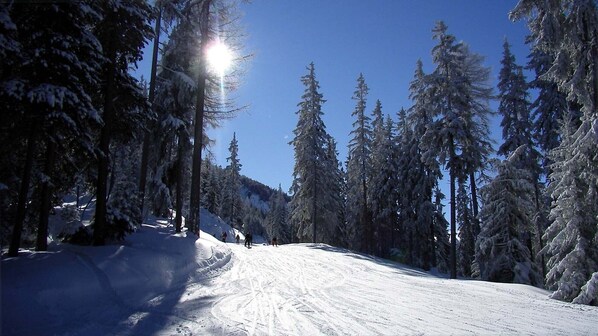 Sports d’hiver