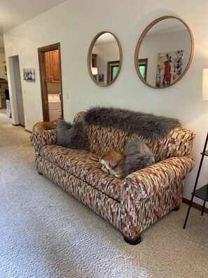 Front sitting room couch with pull-out bed