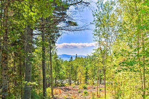 Property View | Acadia National Park Mountains
