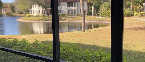 View from the lanai veranda