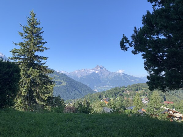 Vue sur les dents du Midi depuis le jardin