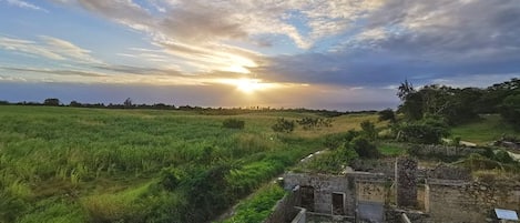 View from dining deck 