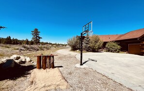 Regulation height basketball court & rustic horseshoe pit bar!