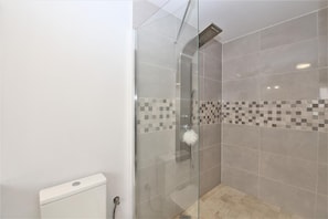 Large walk-in shower in the ensuite to the master bedroom
