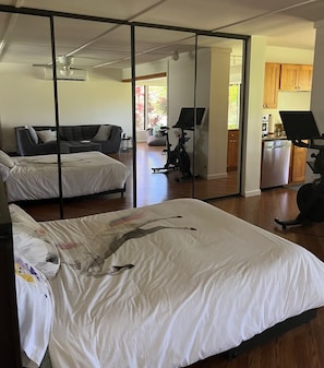 Living Room w/Dresser Tempur Pedic foldout Queen Bed. Mirrored Wall size closet.