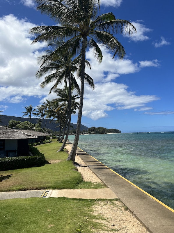 Mokuleia Beach Colony Beachfront