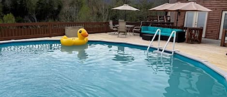 Pool and sun deck