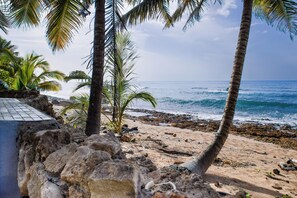 Beach directly in front of home