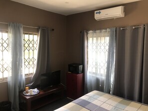 Basic amenities provided . Tv fridge ac microwave hair dryer etc 