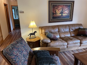 Comfortable furniture and pullout queen leather couch.