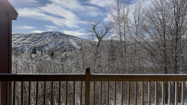 Summit View from upper deck 