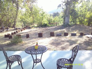 Sitting in the back yard