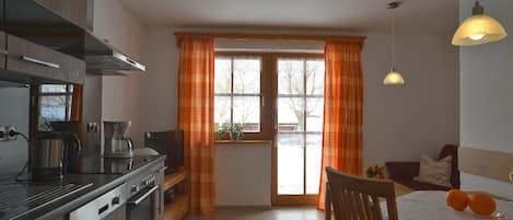 Ferienwohnung 1 mit Terrasse und 1 Schlafzimmer-Wohnküche  Wohnung 1