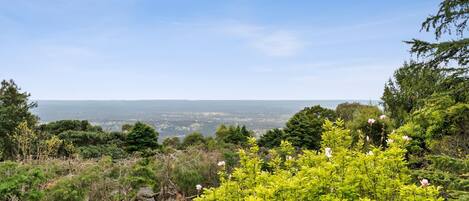 Actual view from rear verandah and main bedroom 