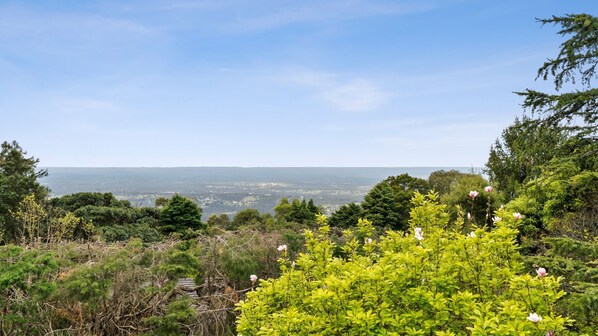 Actual view from rear verandah and main bedroom 