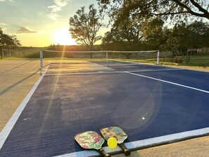 Pickleball Court with 4 paddles