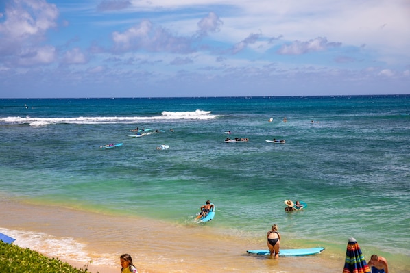 Enjoy the fun in the sun or read a book under the palm trees