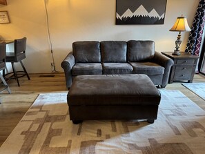 Living Area (forgive the wrinkled carpet, photo taken while settling out of box)