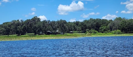 Darling cottage nestled in the oaks overlooking the beautiful Hernando Lake!
