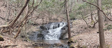 Enjoy the peaceful waterfall