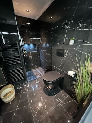 Renovated modern bathroom