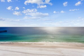 The Gulf of Mexico