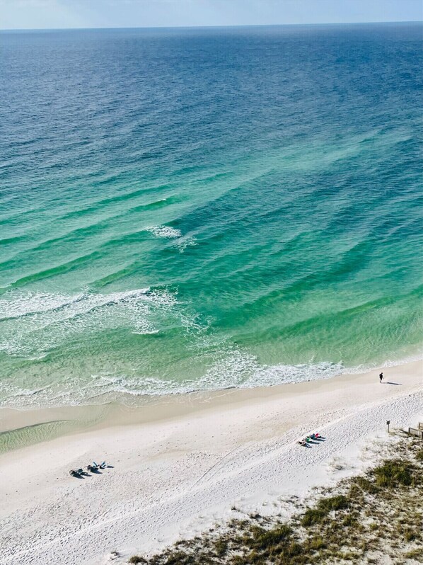 The Gulf of Mexico Views