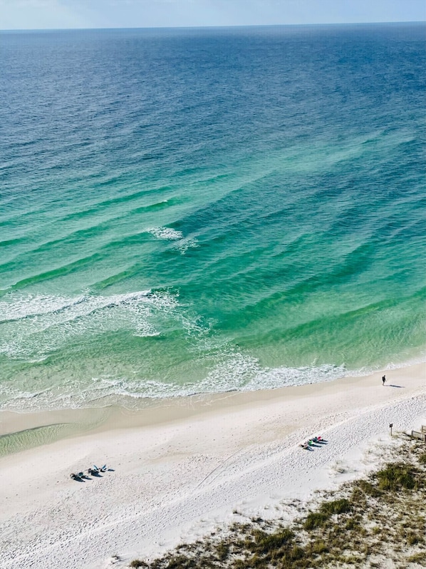 The Gulf of Mexico Views