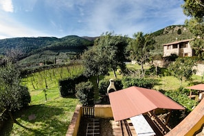 Scenic View