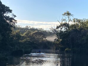 mist on the lake