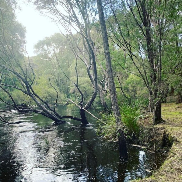 donnelly river