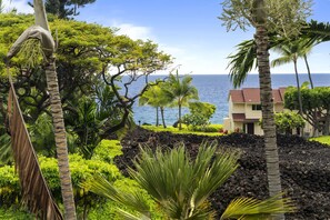 Ocean View from Lanai