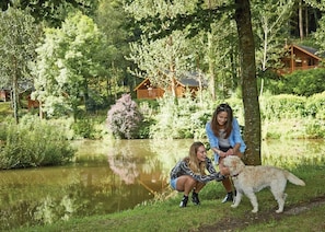 The park setting
