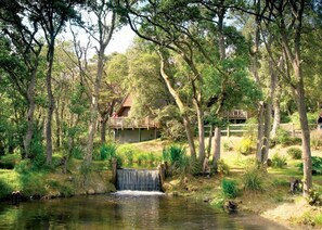 The park setting