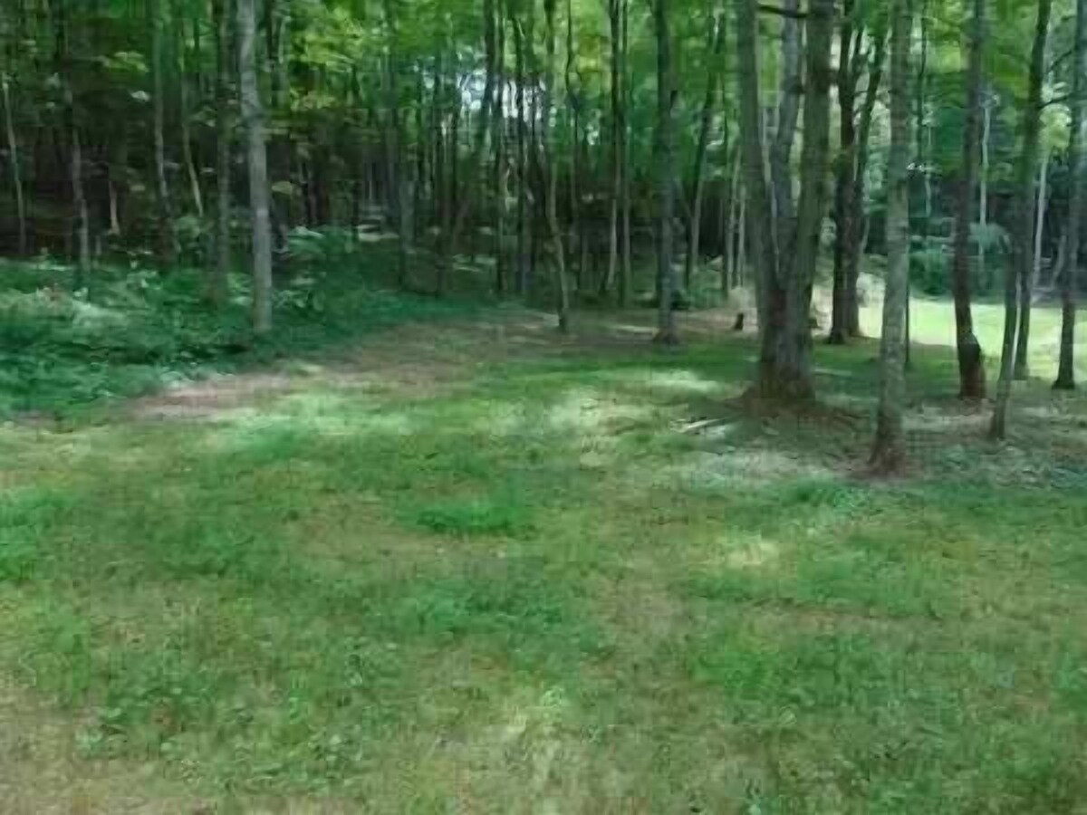 Secluded Escape near Fairy Stone State Park, Virginia