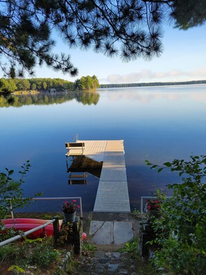 Loons, eagles, otters, muskrats, ducks and geese OH MY!